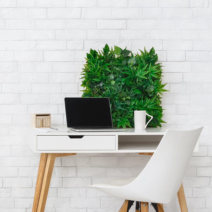 Minimalistic style. Modern workplace with laptop and flowerbox, empty space